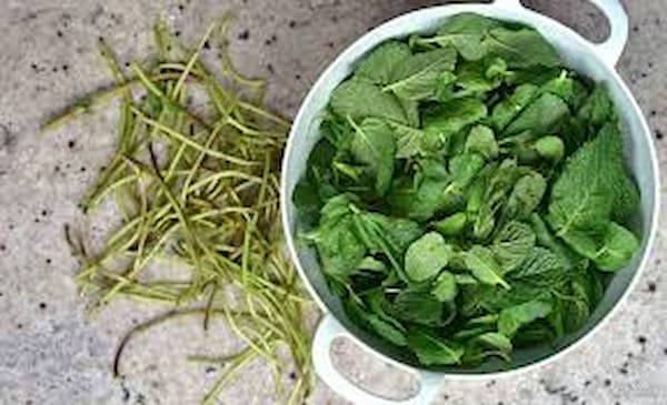 تصویر 1 از قیمت نعنا خشک خانگی + خرید عمده
